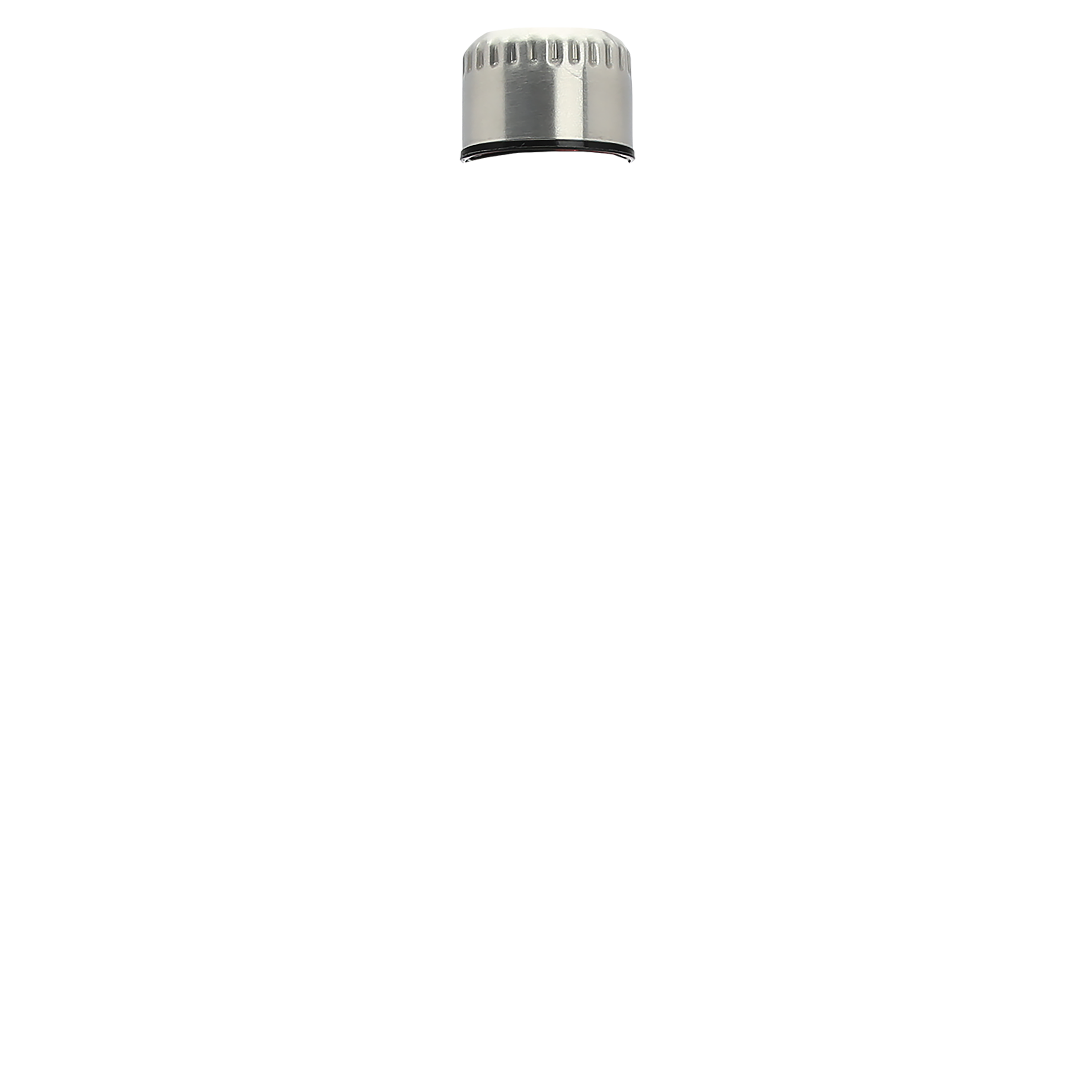 Garyline® Stainless Steel Bottle - 17 oz.